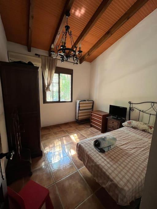 Farmhouse Surrounded By Centenary Olive Trees Olias Exterior photo