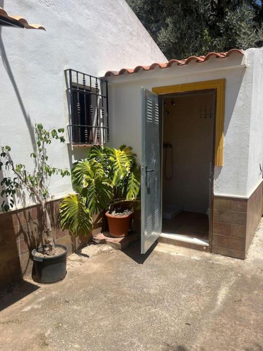 Farmhouse Surrounded By Centenary Olive Trees Olias Exterior photo